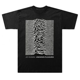 Joy Division, 